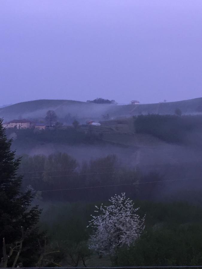 Cascina Baresane Bed & Breakfast Alba  Luaran gambar