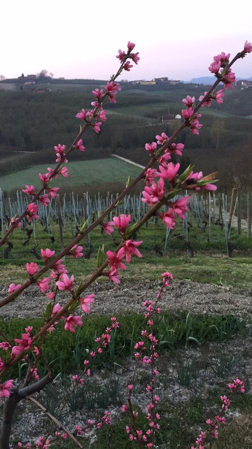 Cascina Baresane Bed & Breakfast Alba  Luaran gambar