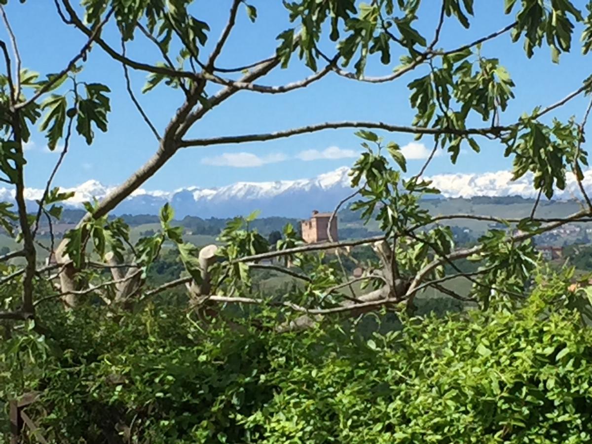 Cascina Baresane Bed & Breakfast Alba  Luaran gambar