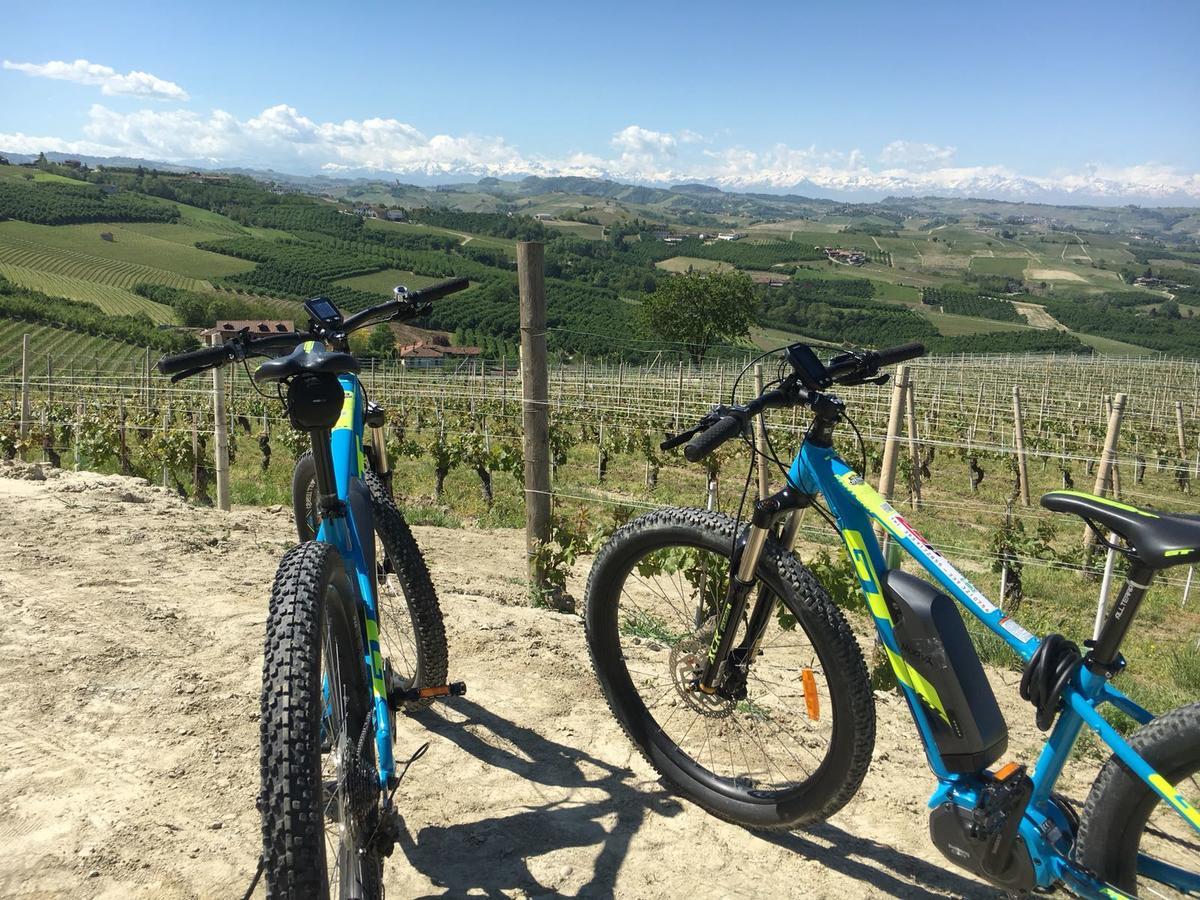 Cascina Baresane Bed & Breakfast Alba  Luaran gambar
