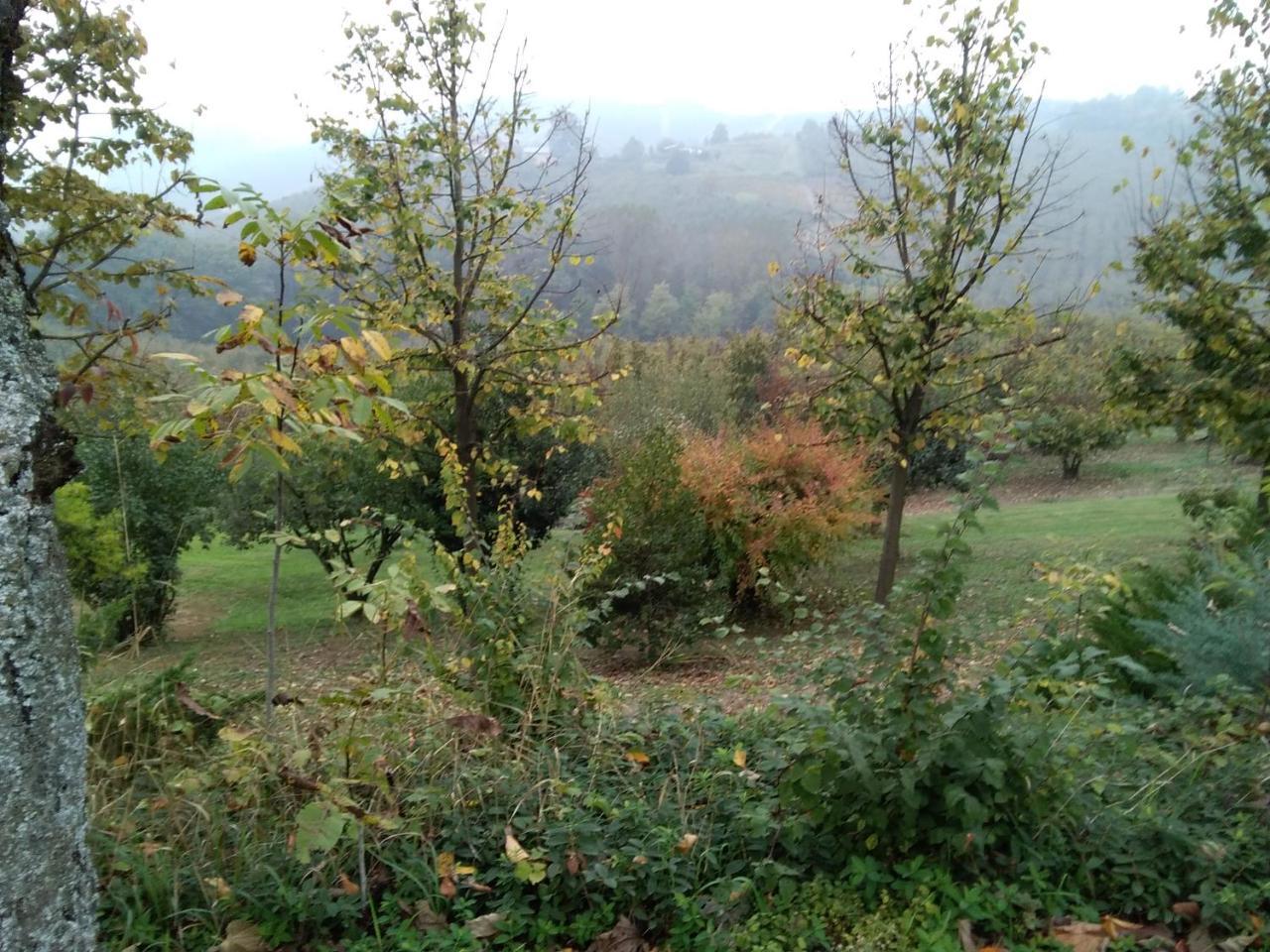 Cascina Baresane Bed & Breakfast Alba  Luaran gambar